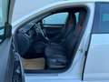 Skoda Octavia Combi Style Limited TDI DSG **AHK**ACC**GARANTIE** Weiß - thumbnail 8