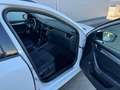 Skoda Octavia Combi Style Limited TDI DSG **AHK**ACC**GARANTIE** Weiß - thumbnail 20