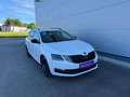 Skoda Octavia Combi Style Limited TDI DSG **AHK**ACC**GARANTIE** Weiß - thumbnail 12