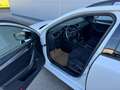 Skoda Octavia Combi Style Limited TDI DSG **AHK**ACC**GARANTIE** Weiß - thumbnail 10