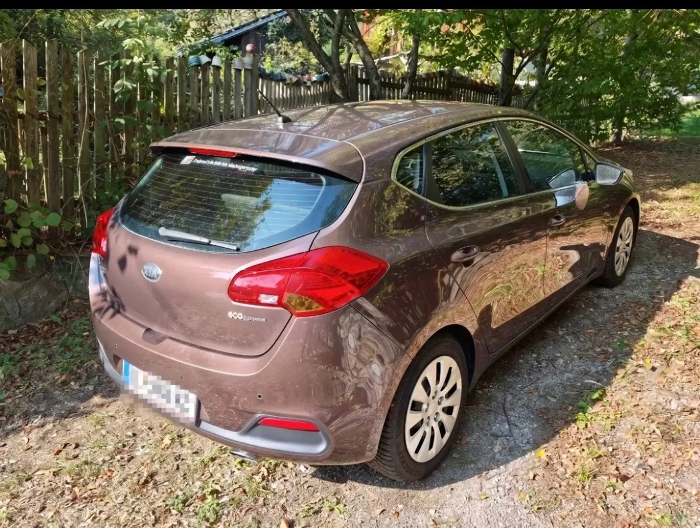 Kia Ceed / cee'd Motion Pro Braun - 2