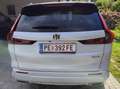 Honda CR-V CR-V 2,0 i-MMD e:PHEV Advance Tech Aut. Advance Te Weiß - thumbnail 11