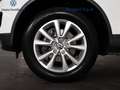 Volkswagen Touareg 3.0 v6 tdi 204cv tiptronic Bianco - thumbnail 16