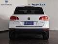 Volkswagen Touareg 3.0 v6 tdi 204cv tiptronic Bianco - thumbnail 5