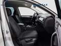 Volkswagen Touareg 3.0 v6 tdi 204cv tiptronic Bianco - thumbnail 13