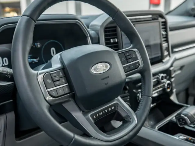 Ford F 150 F-150 LIMITED FHEV SuperCrew 5,5'-Bed 4x4 Ansicht 19