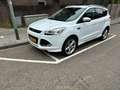 Ford Kuga Kuga 1.5 Titanium Styling Wit - thumbnail 1