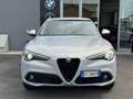 Alfa Romeo Stelvio Stelvio 2.2 Turbodiesel 190 CV AT8 Q4 Sprint Blu/Azzurro - thumbnail 2