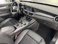 Alfa Romeo Stelvio Stelvio 2.2 Turbodiesel 190 CV AT8 Q4 Sprint Blu/Azzurro - thumbnail 14