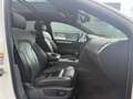 Audi Q7 3.0 TDI quattro Pro Line 5+2 | PANO | Memory Blanco - thumbnail 21