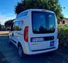 Fiat Doblo Doblò EURO 6 TETTO ALTO TRASPORTO DISABILI Blanc - thumbnail 12
