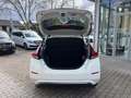 Nissan Leaf N-Connecta 360° Winter NAVI ACC Weiß - thumbnail 14