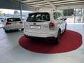 Subaru Forester Exclusive 4x4 PANO SHZ TEMP Weiß - thumbnail 5