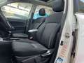 Subaru Forester Exclusive 4x4 PANO SHZ TEMP Weiß - thumbnail 11