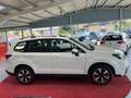 Subaru Forester Exclusive 4x4 PANO SHZ TEMP Weiß - thumbnail 4