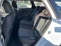 Kia Ceed SW / cee'd SW Ceed SW 1.6 PHEV Vision Navi SCC LED LM Kamera Alb - thumbnail 11