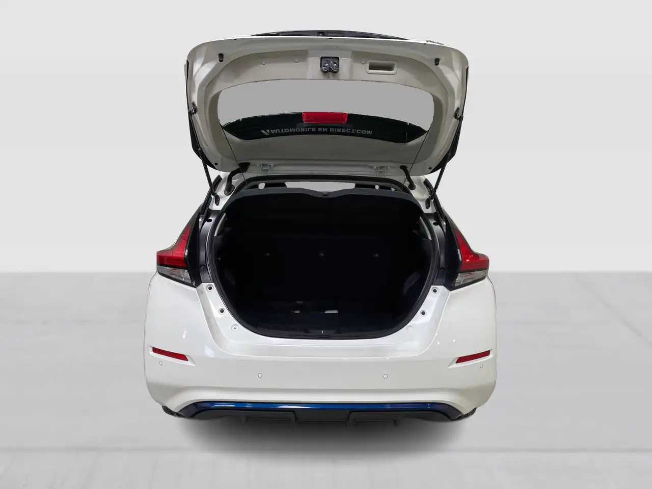Nissan Leaf fotografie Nissan Leaf
