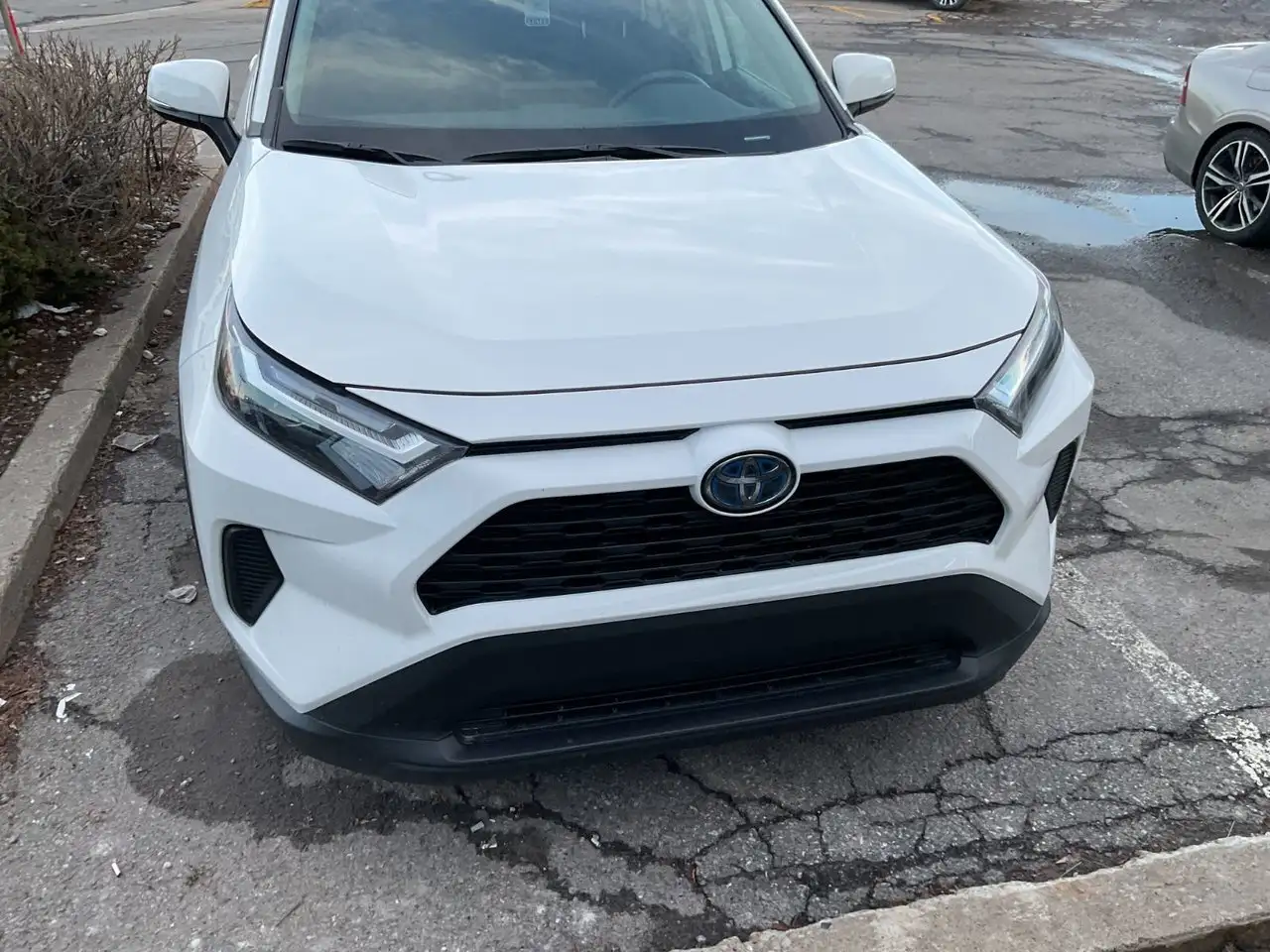 2023 Toyota RAV 4