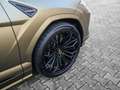 Lamborghini Urus SE Verde Gea, Interior Carbon Pack Grün - thumbnail 10