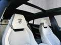 Lamborghini Urus SE Verde Gea, Interior Carbon Pack Grün - thumbnail 18