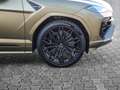 Lamborghini Urus SE Verde Gea, Interior Carbon Pack Grün - thumbnail 9