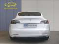 Tesla Model 3 Standard RWD Plus Bianco - thumbnail 6