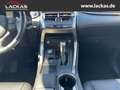Lexus NX 300 h Luxury 4x4 Panorama Grau - thumbnail 14