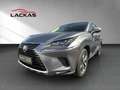 Lexus NX 300 h*LUXURY*4x4*PANO*MARKLEV 15J-GARANTIE Grau - thumbnail 1