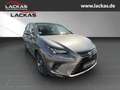Lexus NX 300 h Luxury 4x4 Panorama Grau - thumbnail 7