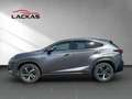 Lexus NX 300 h*LUXURY*4x4*PANO*MARKLEV 15J-GARANTIE Grau - thumbnail 2