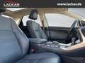 Lexus NX 300 h Luxury 4x4 Panorama Grau - thumbnail 18