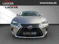 Lexus NX 300 h Luxury 4x4 Panorama Grau - thumbnail 8