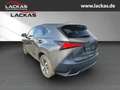 Lexus NX 300 h Luxury 4x4 Panorama Grau - thumbnail 3