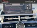 Lexus NX 300 h Luxury 4x4 Panorama Grau - thumbnail 15