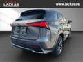 Lexus NX 300 h Luxury 4x4 Panorama Grau - thumbnail 5
