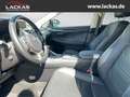 Lexus NX 300 h Luxury 4x4 Panorama Grau - thumbnail 9