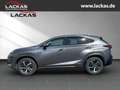 Lexus NX 300 h Luxury 4x4 Panorama Grau - thumbnail 2