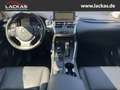 Lexus NX 300 h Luxury 4x4 Panorama Grau - thumbnail 13