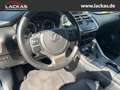 Lexus NX 300 h Luxury 4x4 Panorama Grau - thumbnail 10