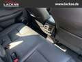 Lexus NX 300 h Luxury 4x4 Panorama Grau - thumbnail 17