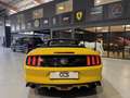Ford Mustang (6) Convertible EcoBoost BVM6 EcoBoost Jaune - thumbnail 11