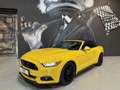 Ford Mustang (6) Convertible EcoBoost BVM6 EcoBoost Jaune - thumbnail 3