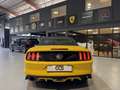 Ford Mustang (6) Convertible EcoBoost BVM6 EcoBoost Jaune - thumbnail 10