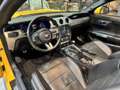 Ford Mustang (6) Convertible EcoBoost BVM6 EcoBoost Jaune - thumbnail 12