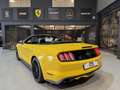 Ford Mustang (6) Convertible EcoBoost BVM6 EcoBoost Jaune - thumbnail 9