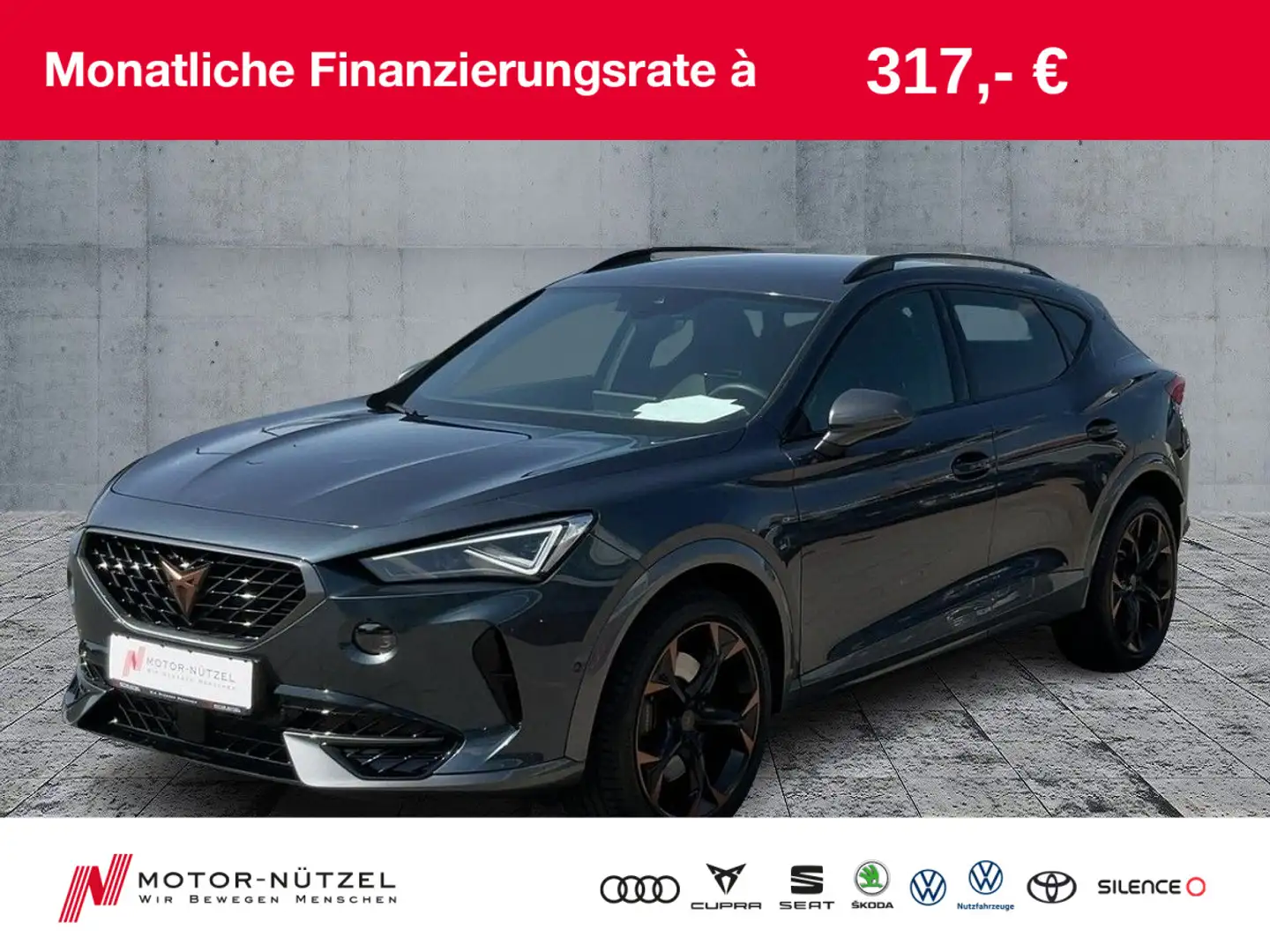 CUPRA Formentor 2.0 TSI DSG MATRIX+NAVI+BEATS+RFK+ACC Grau - 1