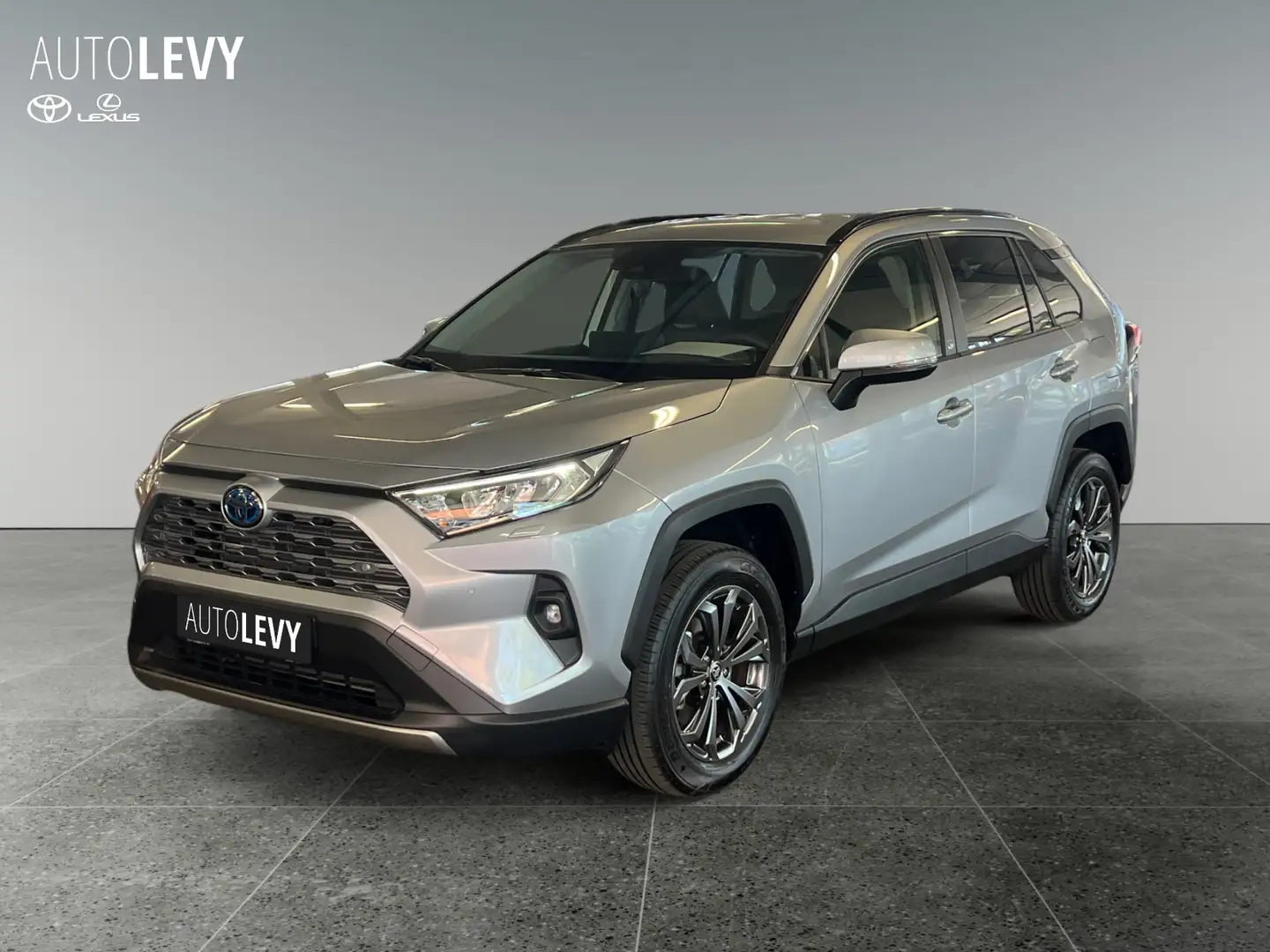 Toyota RAV 4 Hybrid Team Deutschland *CARPLAY* Silver - 2
