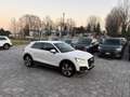 Audi Q2 1.0 S tronic Sport ANCHE NEOPATENTATI Bianco - thumbnail 7