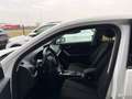 Audi Q2 1.0 S tronic Sport ANCHE NEOPATENTATI Bianco - thumbnail 11