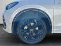 Volkswagen Tiguan R-Line 2,0 l TDI 4M 193 PS DSG7 Weiß - thumbnail 8